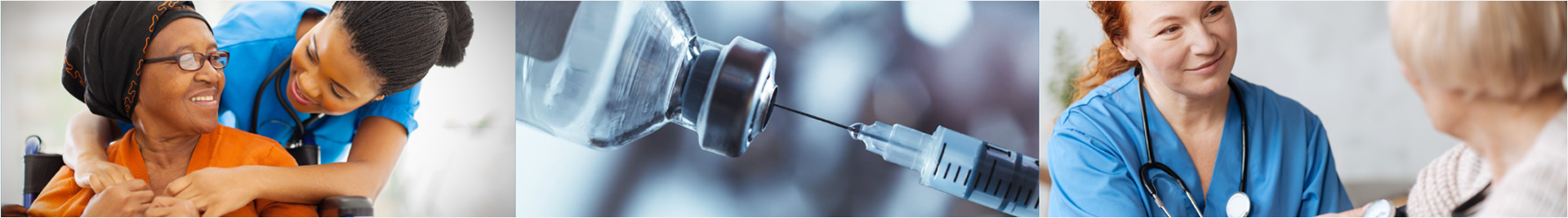 Access Healthcare Services (AHS)